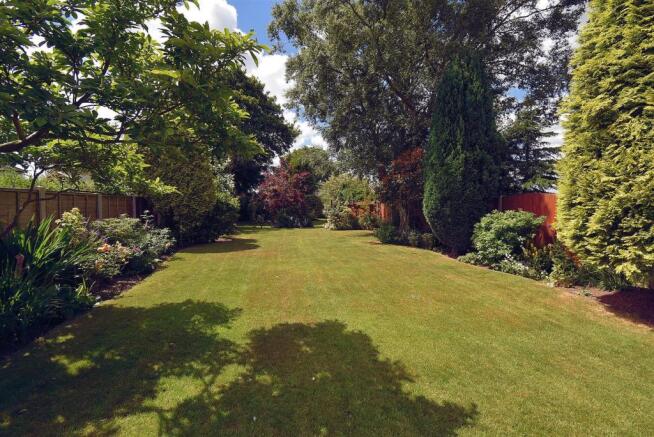 GARDEN3.jpg