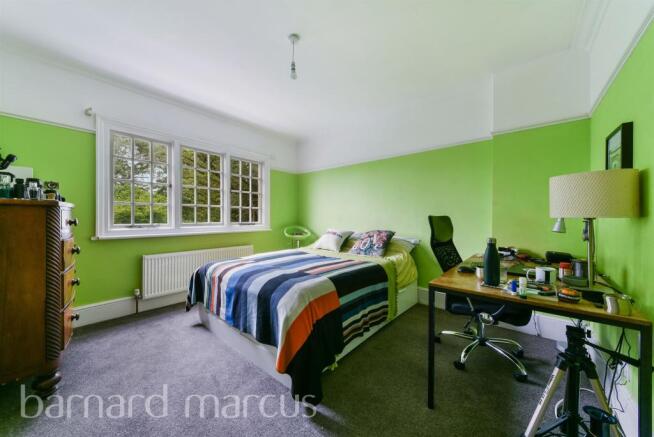 Photo 11