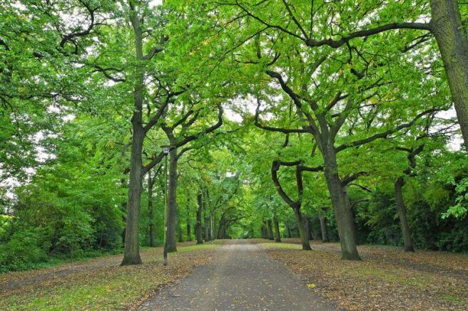 Norfolk Park