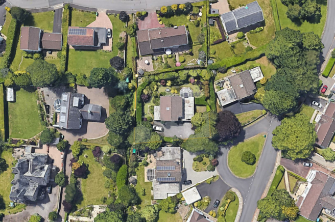 Birds Eye 2.png