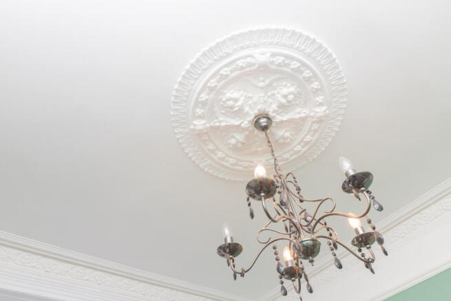 Feature Bedroom Rose
