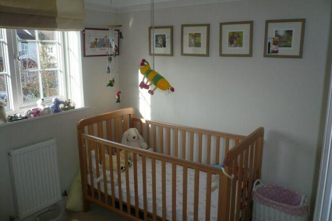 Photo 5