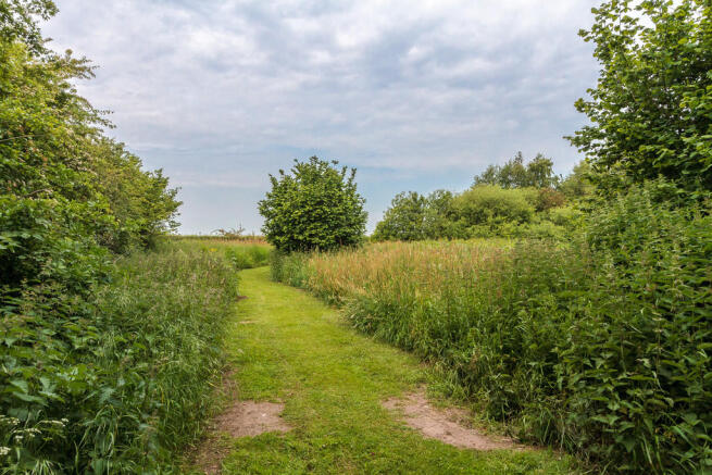 Photo 36