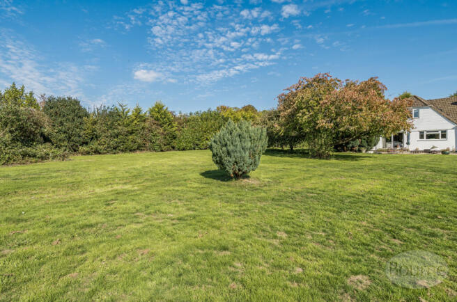 c5c2dbf9-98aa-401...