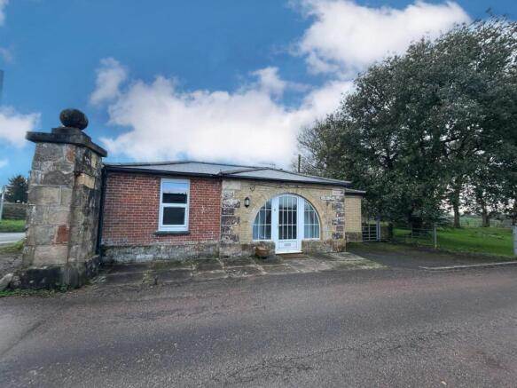 64cb46e6-f5f6-4371-a7d8-3b61fa28779a edited.jpg