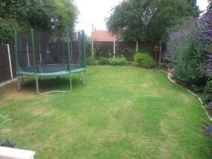 Back Garden