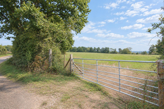 Daisy Hill 1