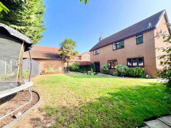 WhatsApp Image 20...