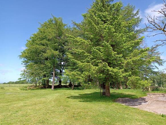 Lawns And Gardens