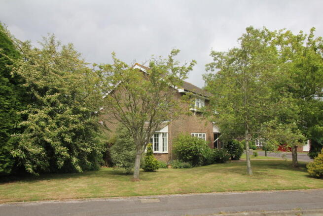 Side Front Garden