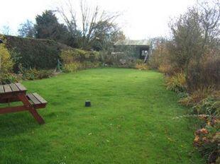garden photo