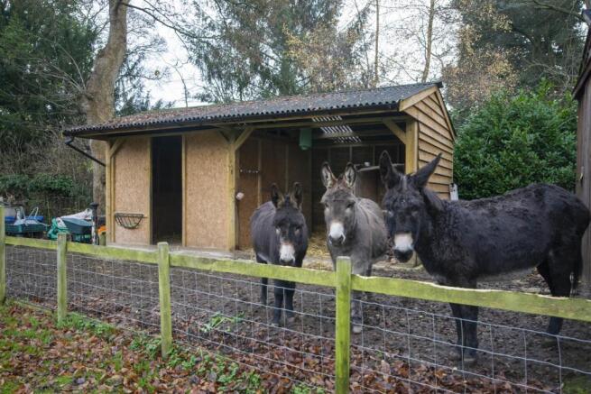 STABLE