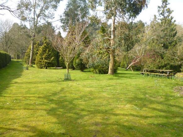 garden