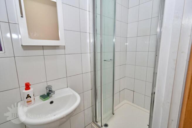 Ground Floor Shower 