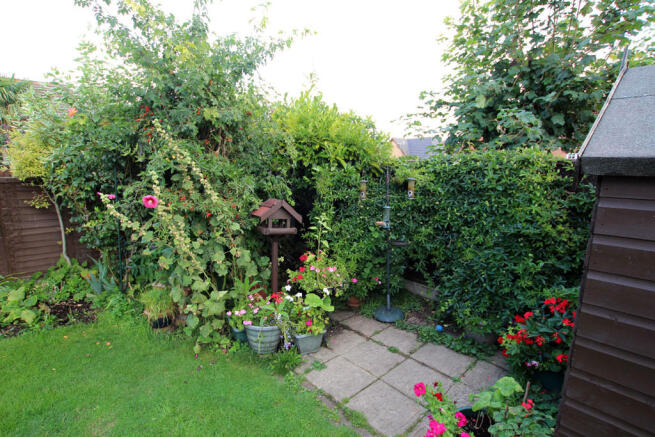 Photo 15