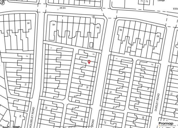 Site Plan.jpg