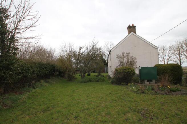 garden3.JPG