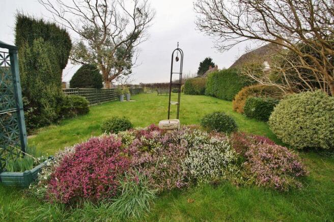 Garden Shot 2