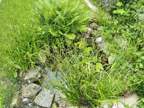 38ca657d-Front 20Garden 20Pond.jpg