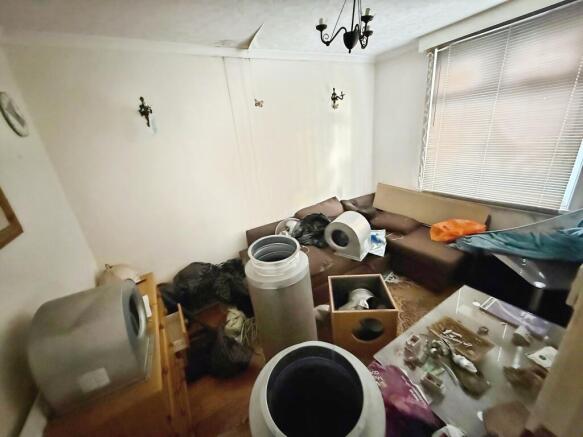 2 T202602171651.jpeg