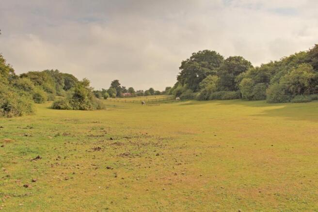 View from Property at Back