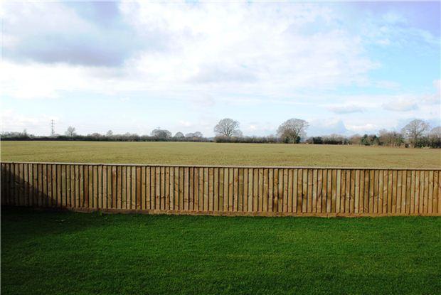 Rear garden / view