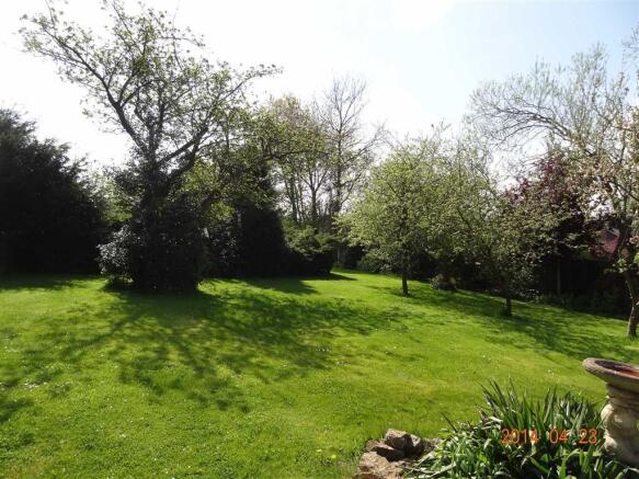 Garden Photo