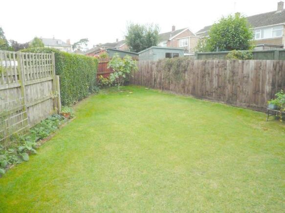 The Rear Garden