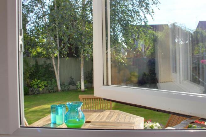 View from Window