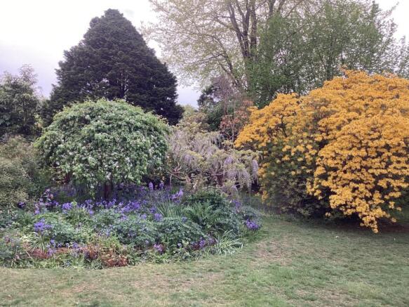 Garden Spring 2022