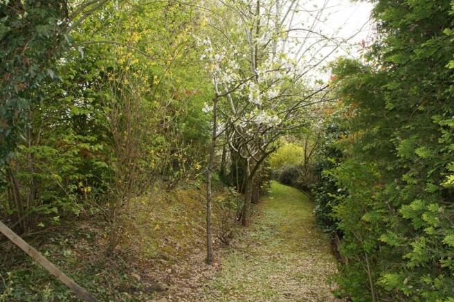 Woodland Walk are...