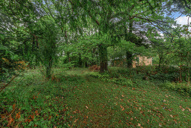 Woodland