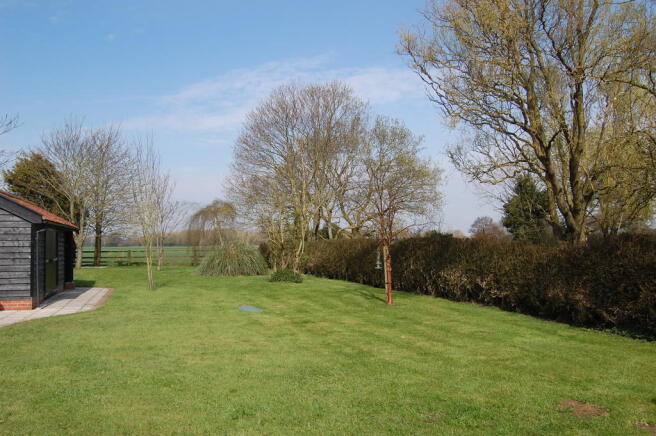 Photo 31