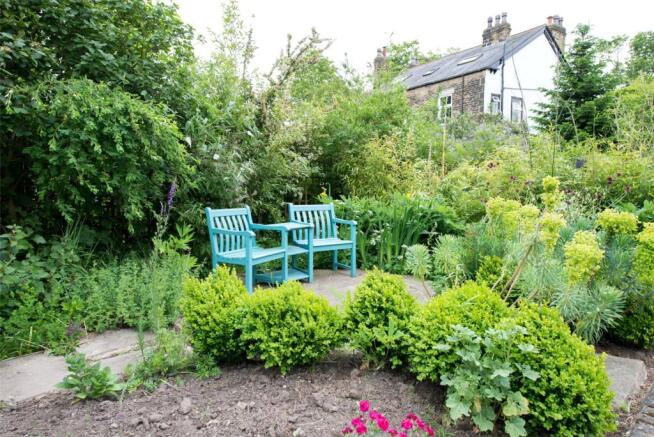 Back Garden