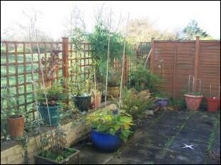 Patio Garden