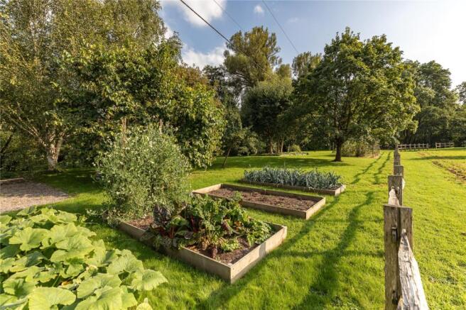 Vegetable Garden
