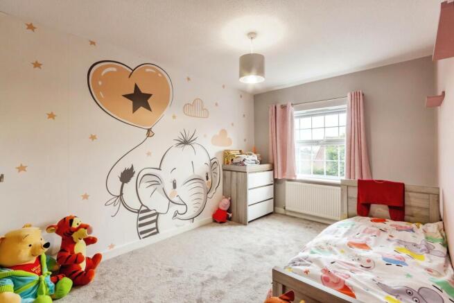 PHOTOGRAPHY