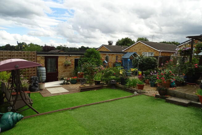 Photo 11