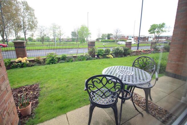 Patio Area