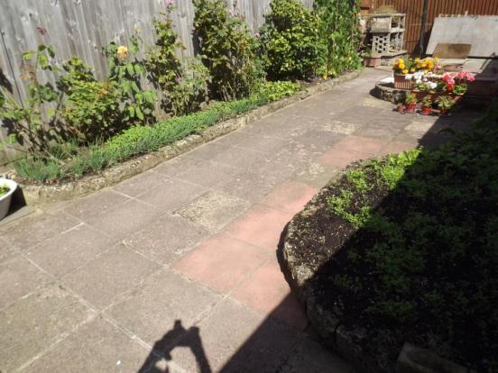 Picture No.12