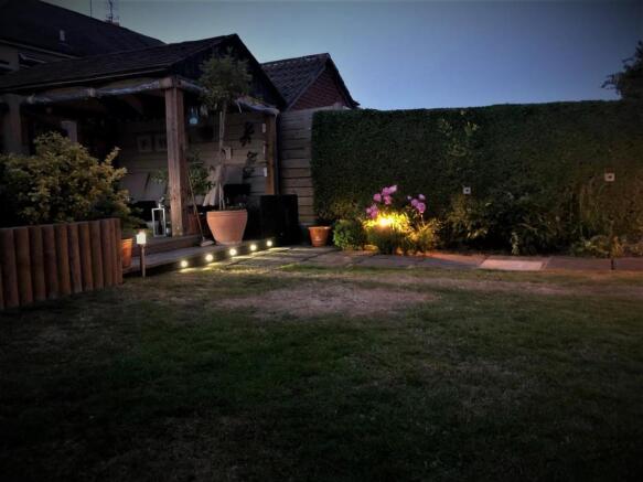 garden at night 2.jpg
