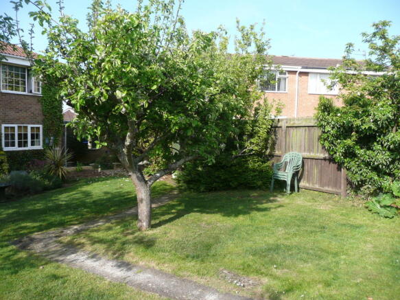 Photo 4