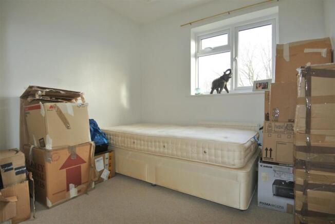 6germanderbed2.jpg