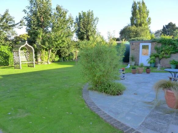 Photo 8
