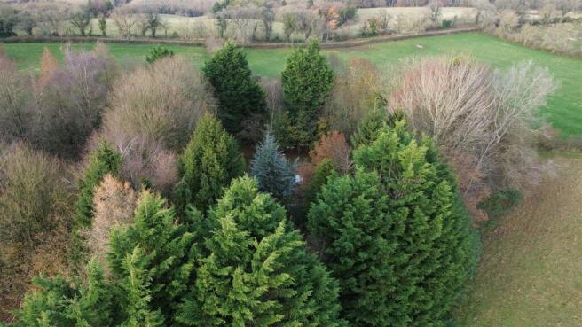 DJI_0847.JPG