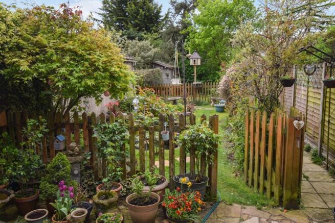 Pond and garden othe