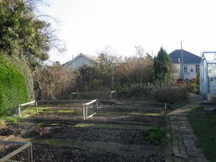 Garden mid phase