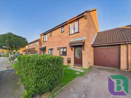 Meadowsweet, Walnut Tree