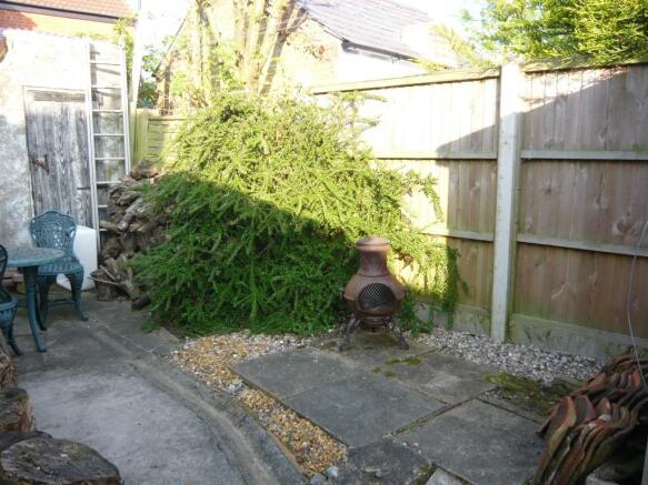 Photo 11