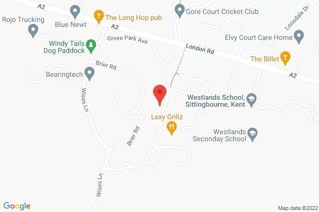 Google Maps Image